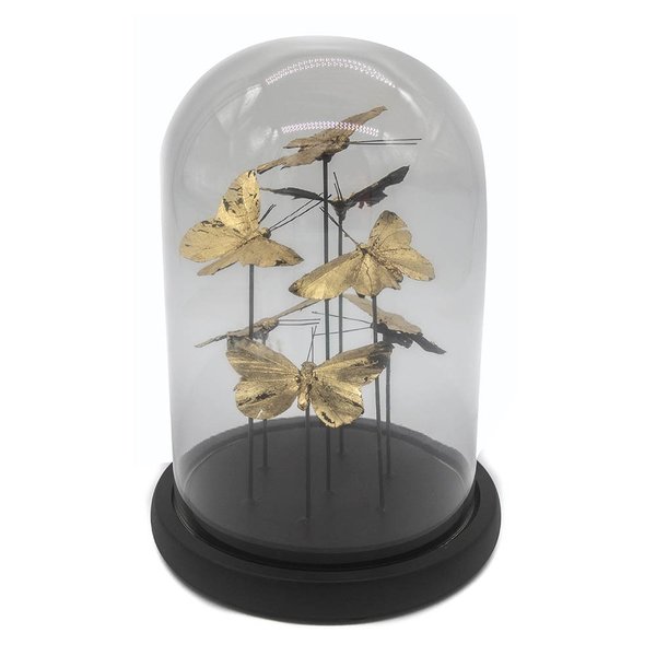 escultura borboletas com redoma de vidro p1576 charm decor a