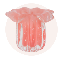 Organizador de maquiagem