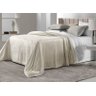 cobertor king trussardi 100 microfibra aveludado piemontesi moonbean 3407544 charm decor